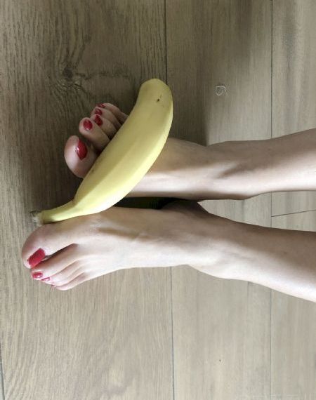 妖狐苏妲己